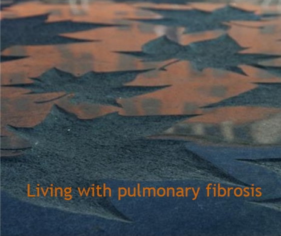 longfibrose DVD