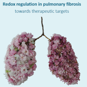 Promotie: Redox regulation in pulmonary fibrosis, towards therapeutic targets @ Aula Minderbroedersberg 